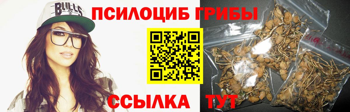 Псилоцибиновые грибы мицелий Снежинск